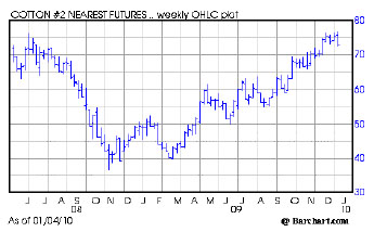 Icac stock options