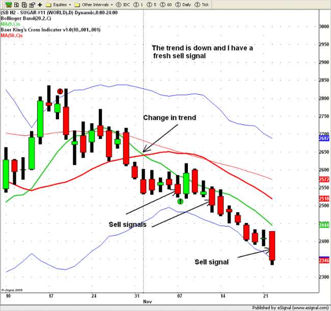 Forex sugar 11
