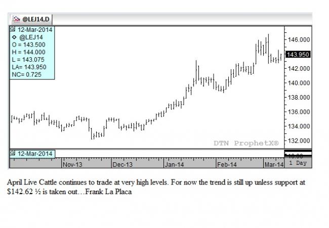 Dcd fx options