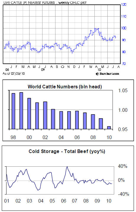 Cattle