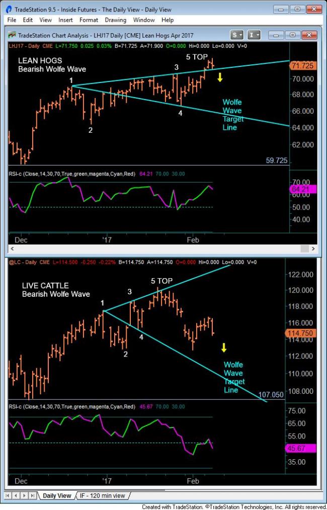 Forex premarket data