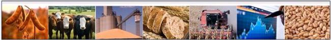 Grain Banner