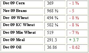 Grain Settlement - 10-28