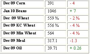 Grain Settlement - 11-20