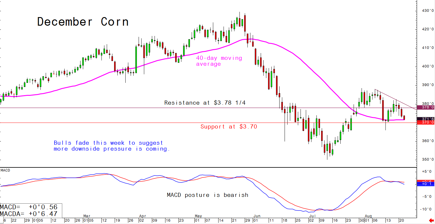 Corn Charts Daily