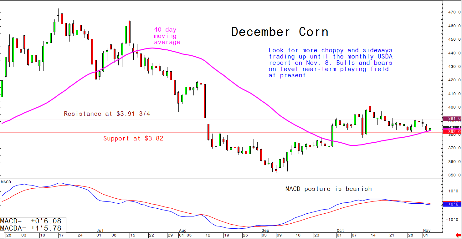 Corn Charts Daily