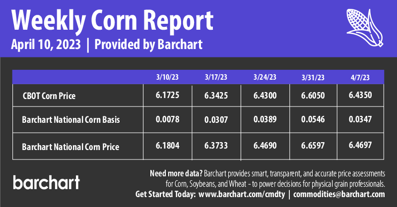 Infographics Weekly Corn Report | 4-10-2023