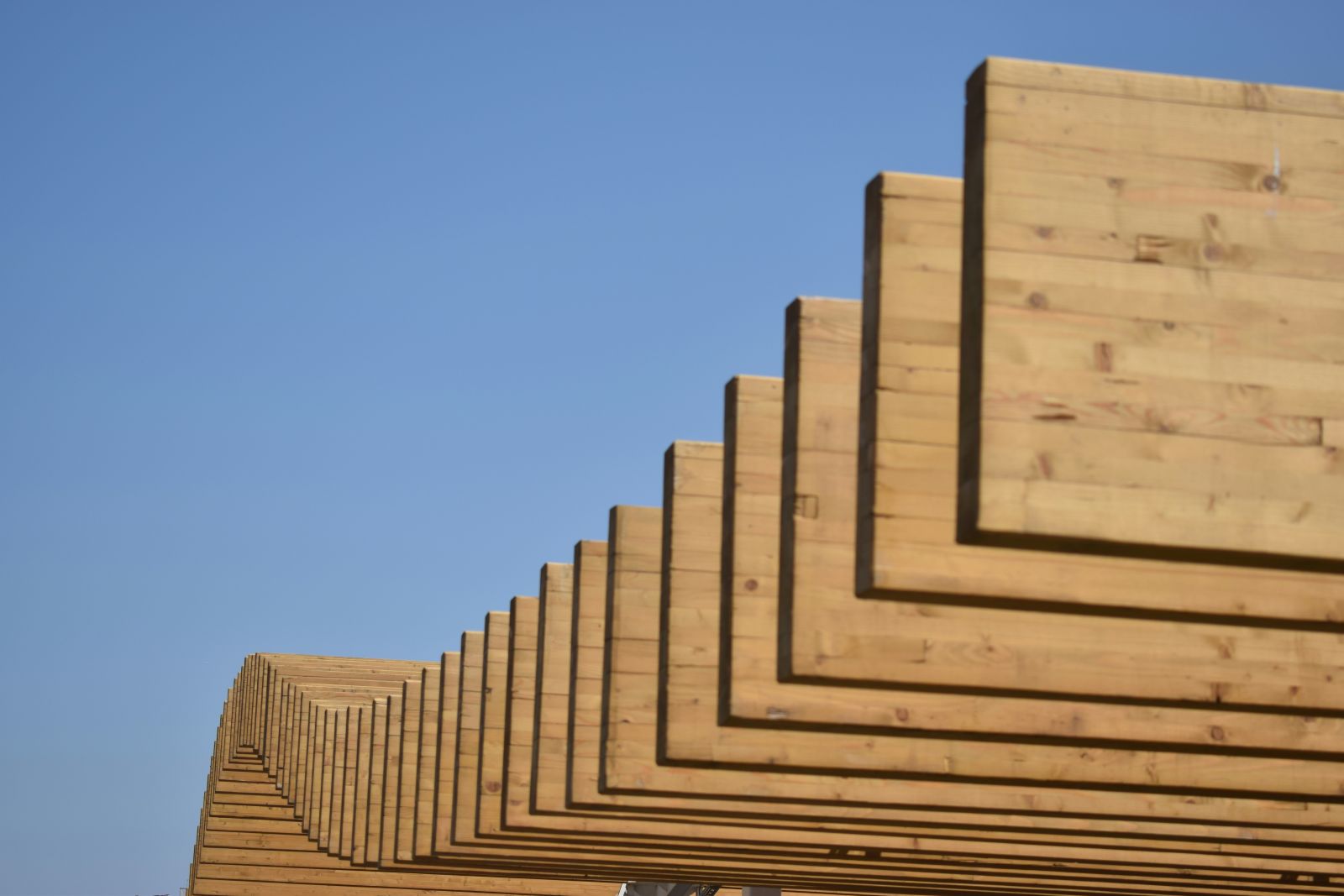 Lumber - Lumber arch by Ipek Aydogdu via Unsplash