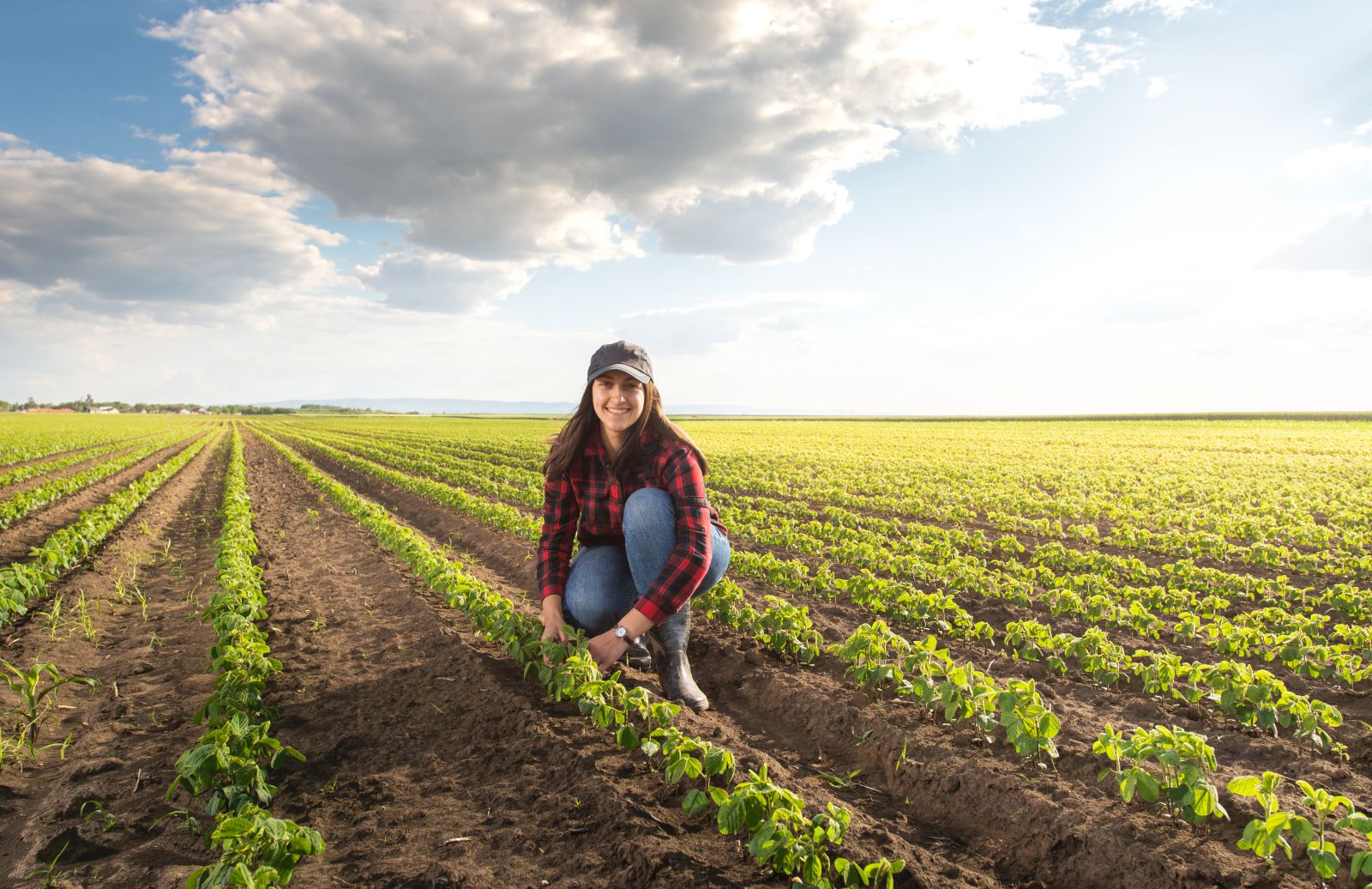 Soybeans - Young soybean crop with female farmer by fotokostic via iStock