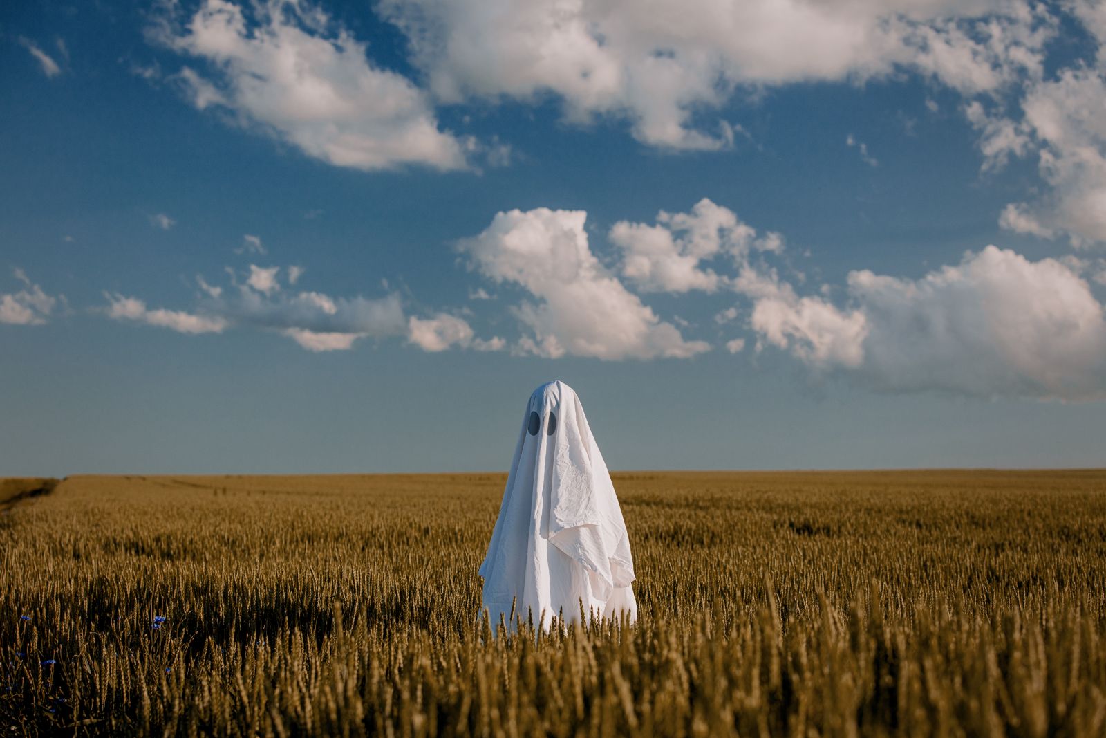 A ghost in a wheat field_ Image by Masson via Shutterstock_
