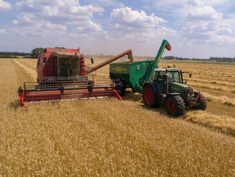 Wheat - Farming heiko-janowski-XLmWt913EOc-unsplash