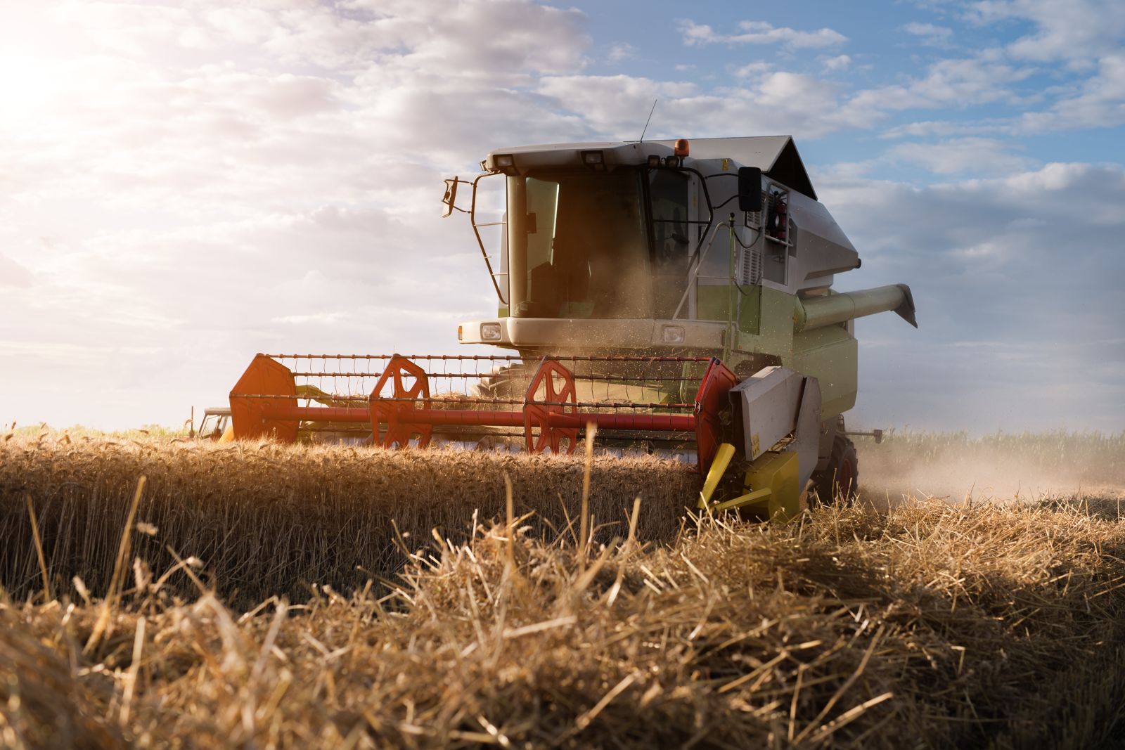 Wheat - Harvesting wheat with combine by fotokostic via iStock