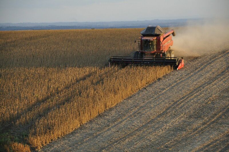 Wheat - Soybeans being harvested in the fall