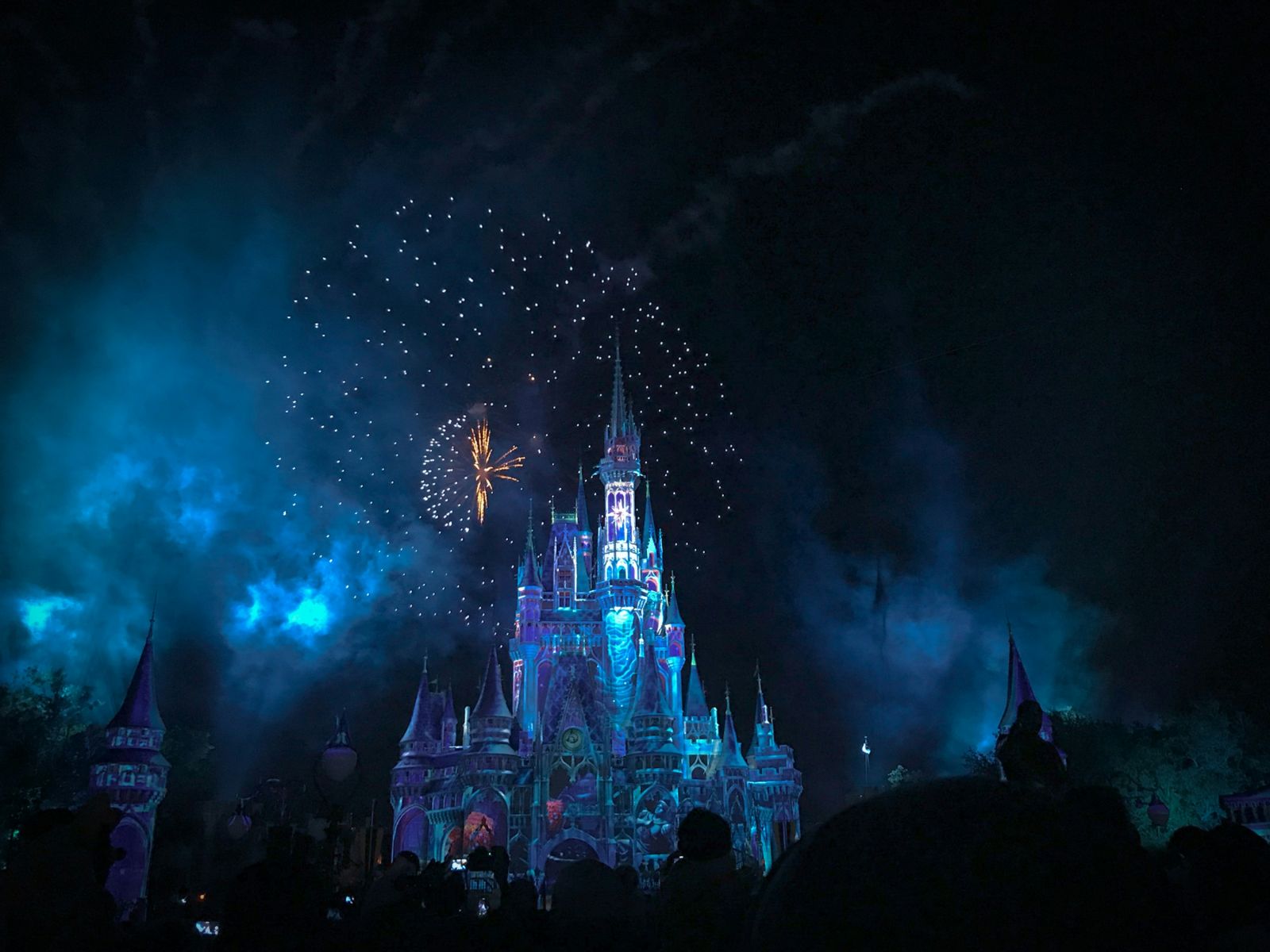 Consumer Products - Disneyland at night by Jayme McColgan via Unsplash