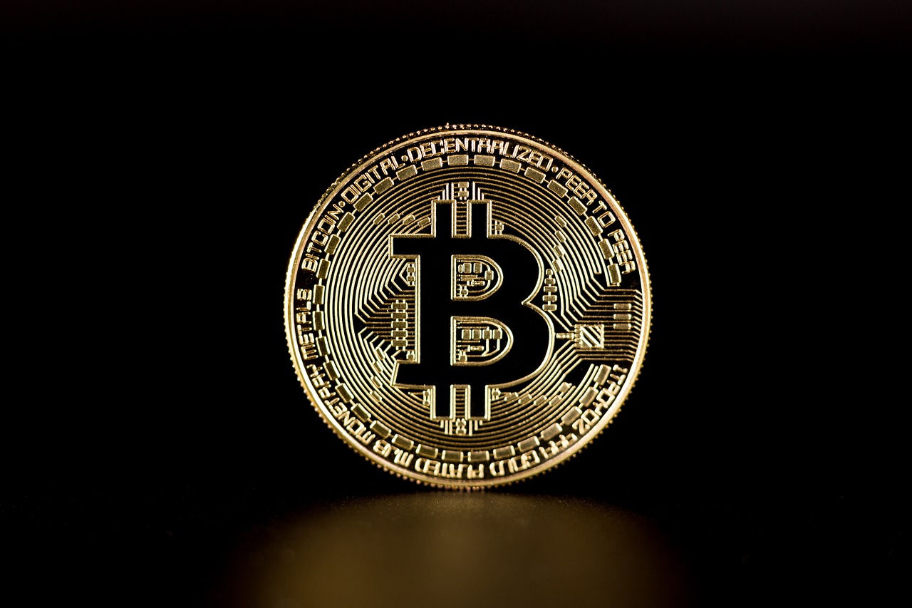 Crypto - Bitcoin coin dark background by Johannes Blumel via Pixabay