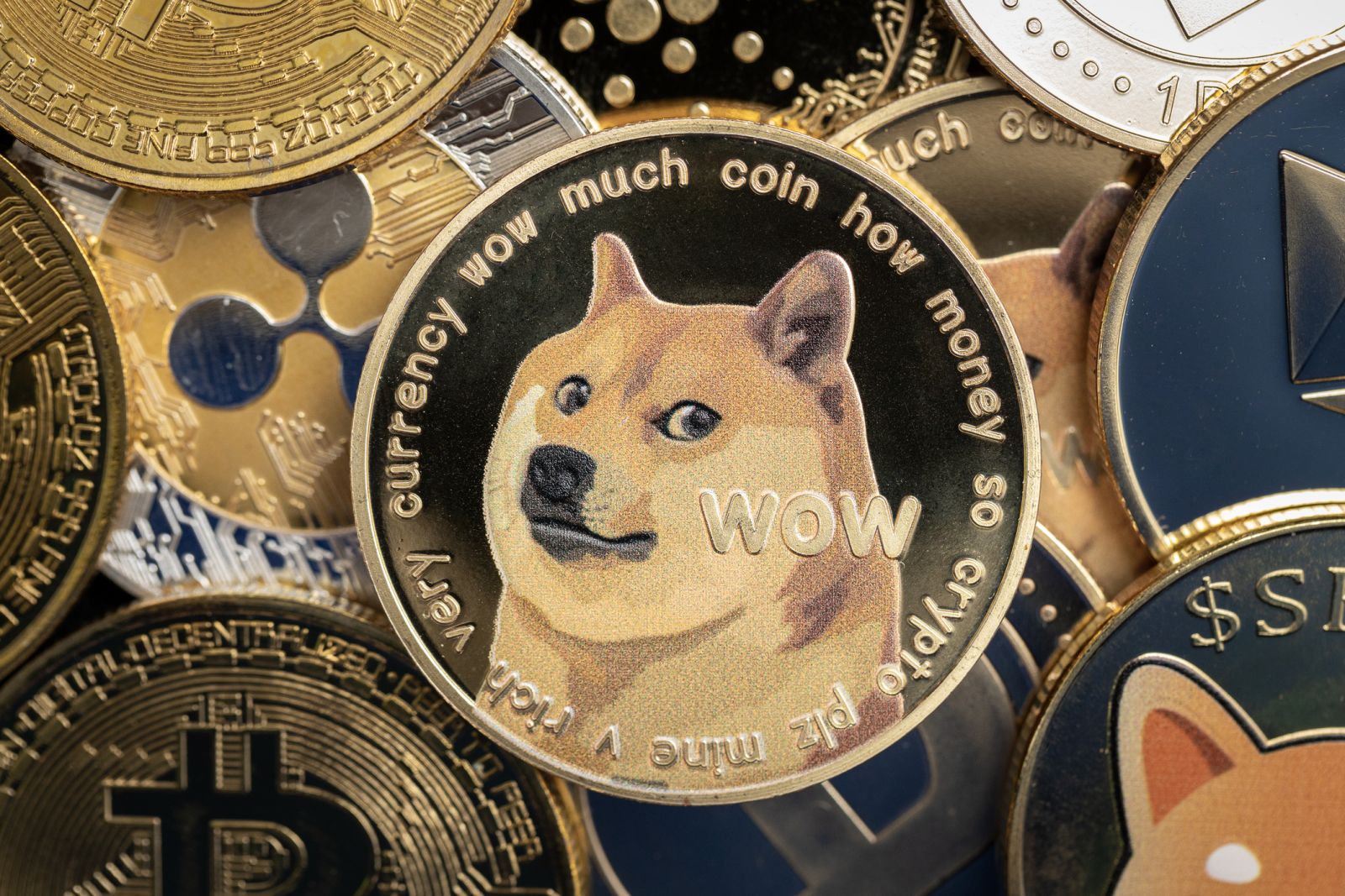 Put out of your mind DOGE, This is 1 Inventory to Put money into the Subsequent Crypto Bull Marketplace