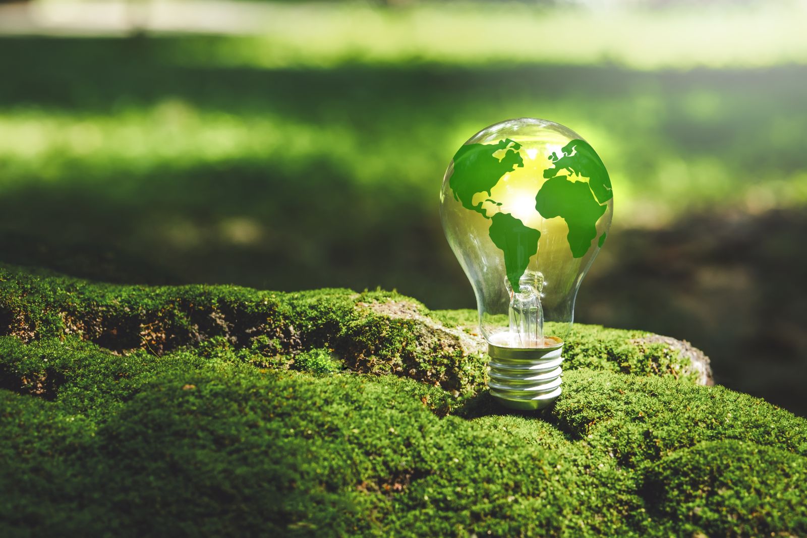 A concept image showing a lightbulb with planet earth in a mossy green background by Capt_Pic via Shutterstock