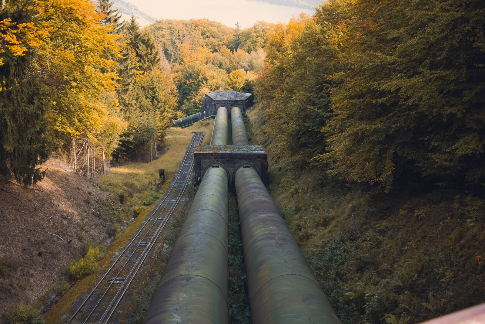 Oil - Oil Pipeline through forest