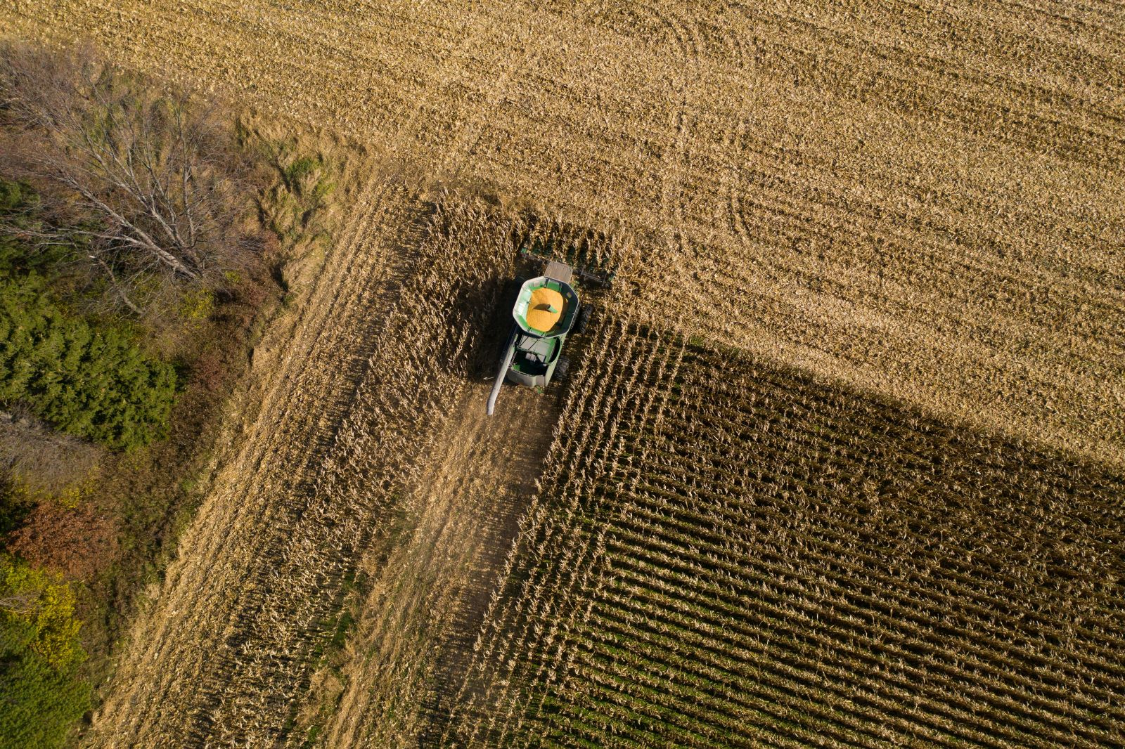 Farming - Farming by Dean Ricciardi via Unsplash