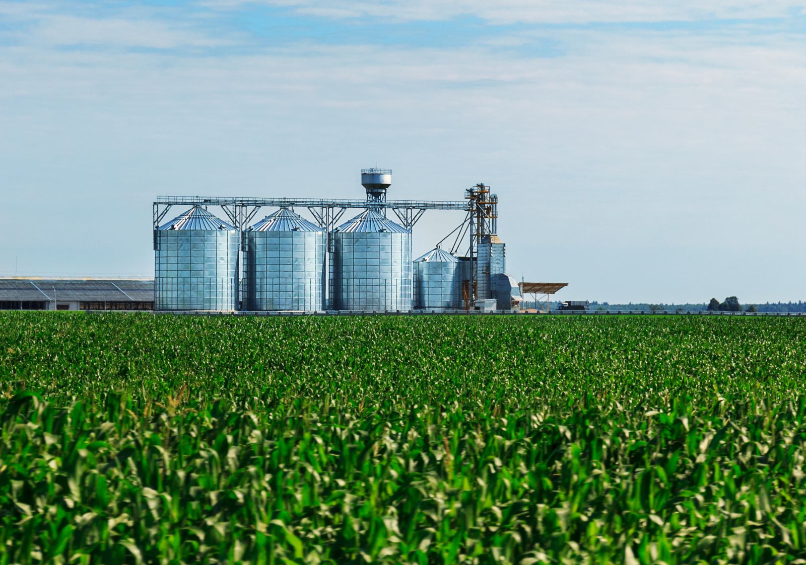 Farming - Grain elevator by Kovaliova Tatsiana via Shutterstock