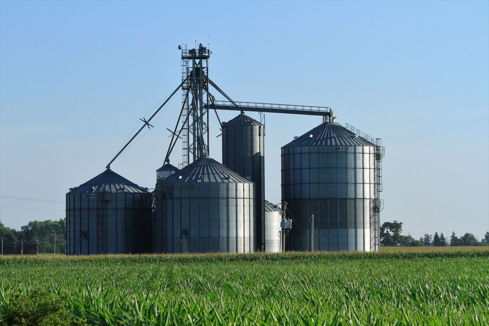 Farming - Grain elevator by Robert D Brozek via Shutterstock