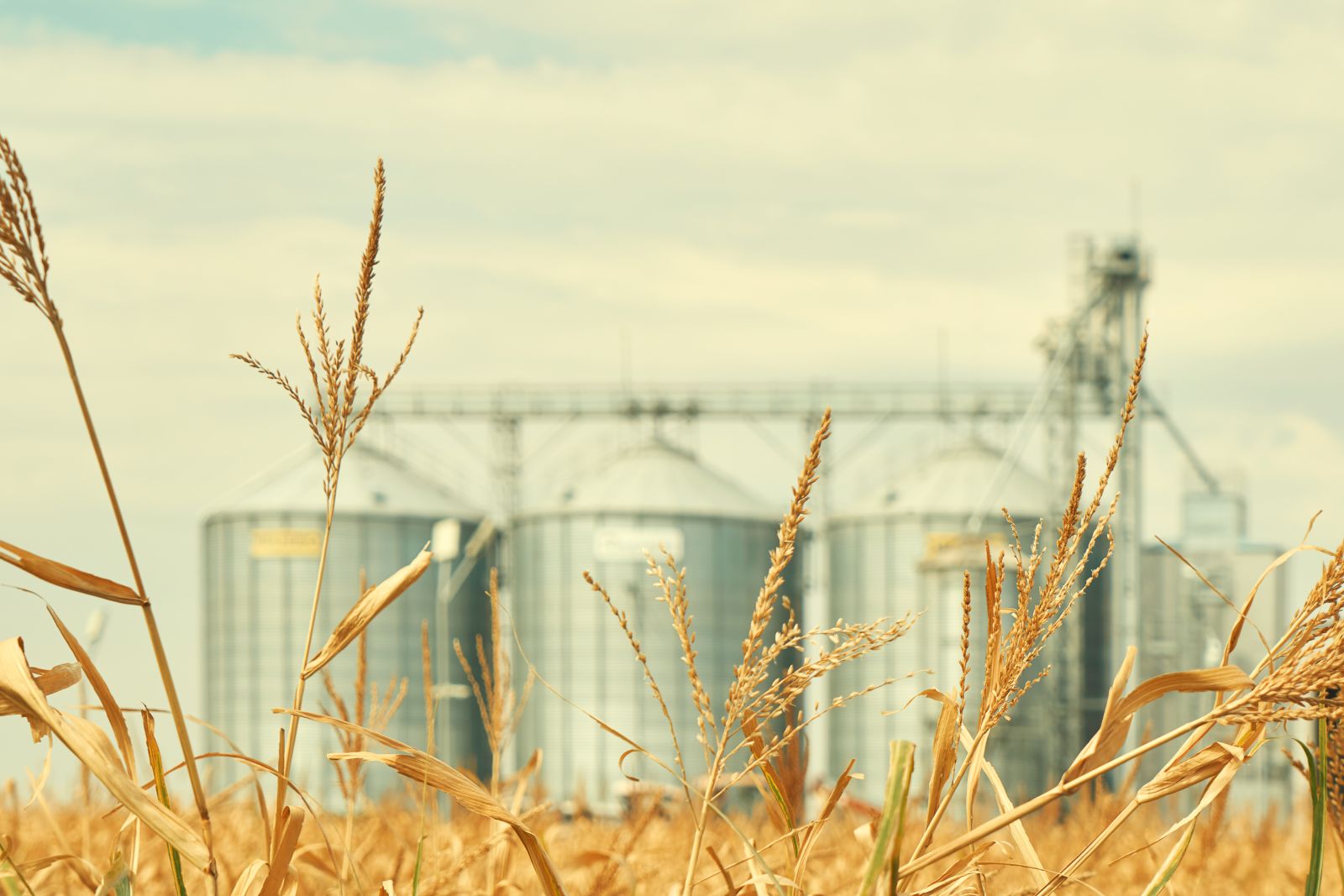 Farming - Grain storage by Larina Marina via Shutterstock