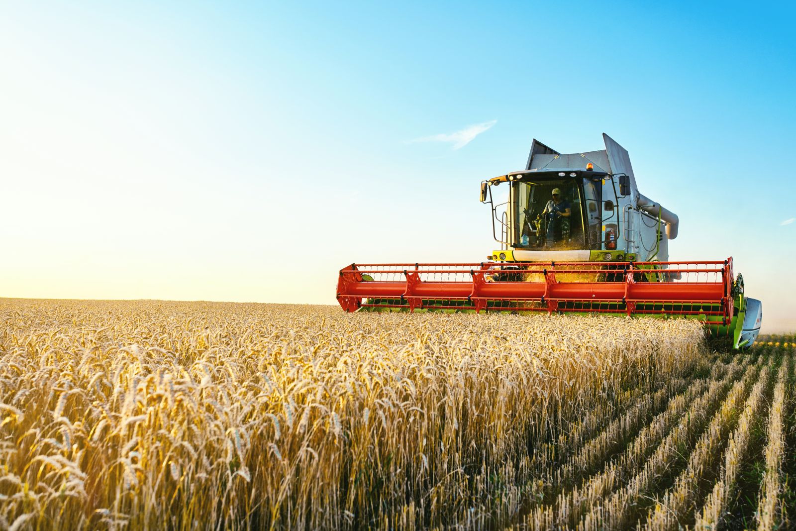 Farming - Harvestor at work by Aleksandr Rybalko via Shutterstock