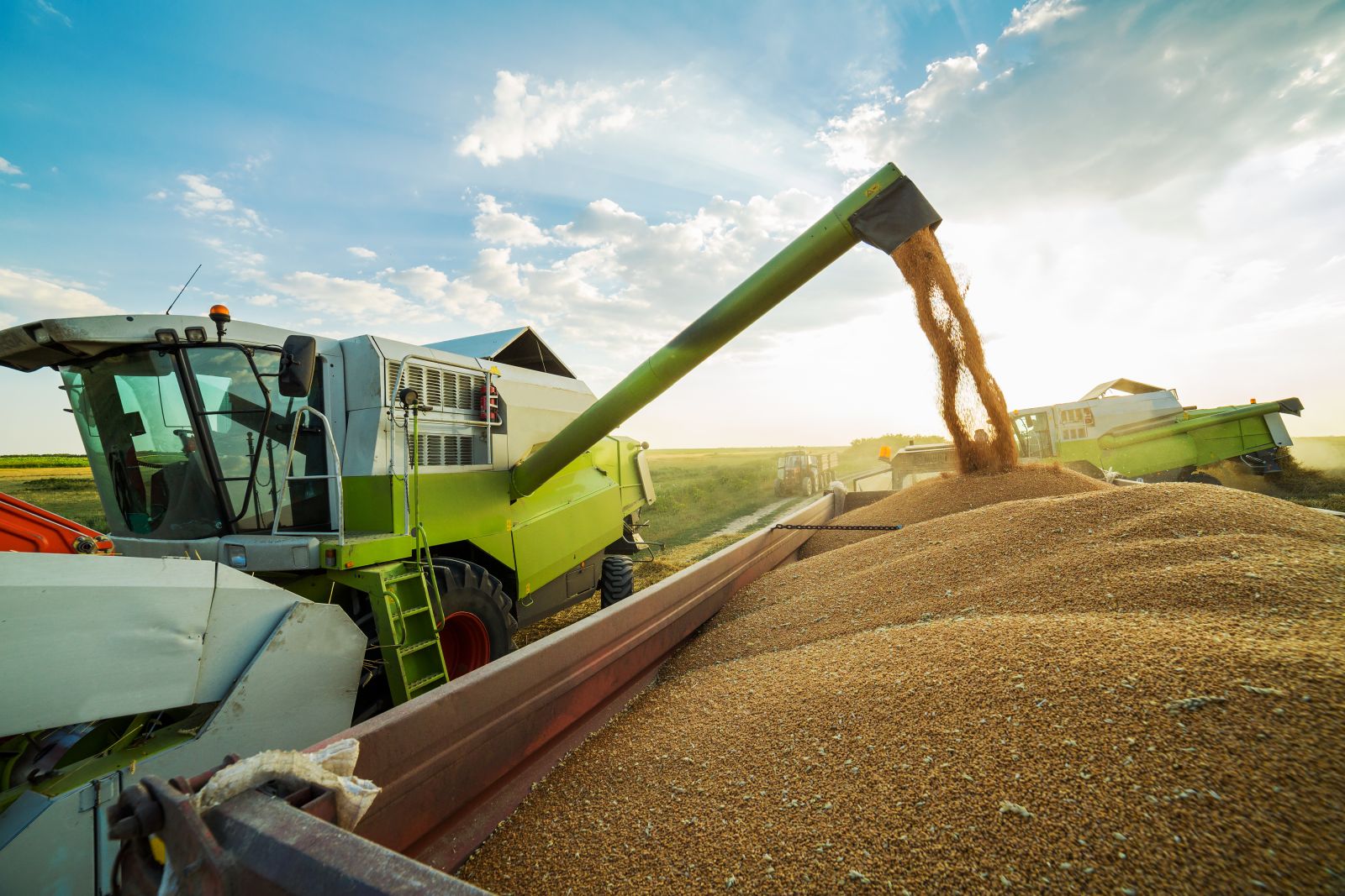 Farming - Unloading grain by oticki via Shutterstock