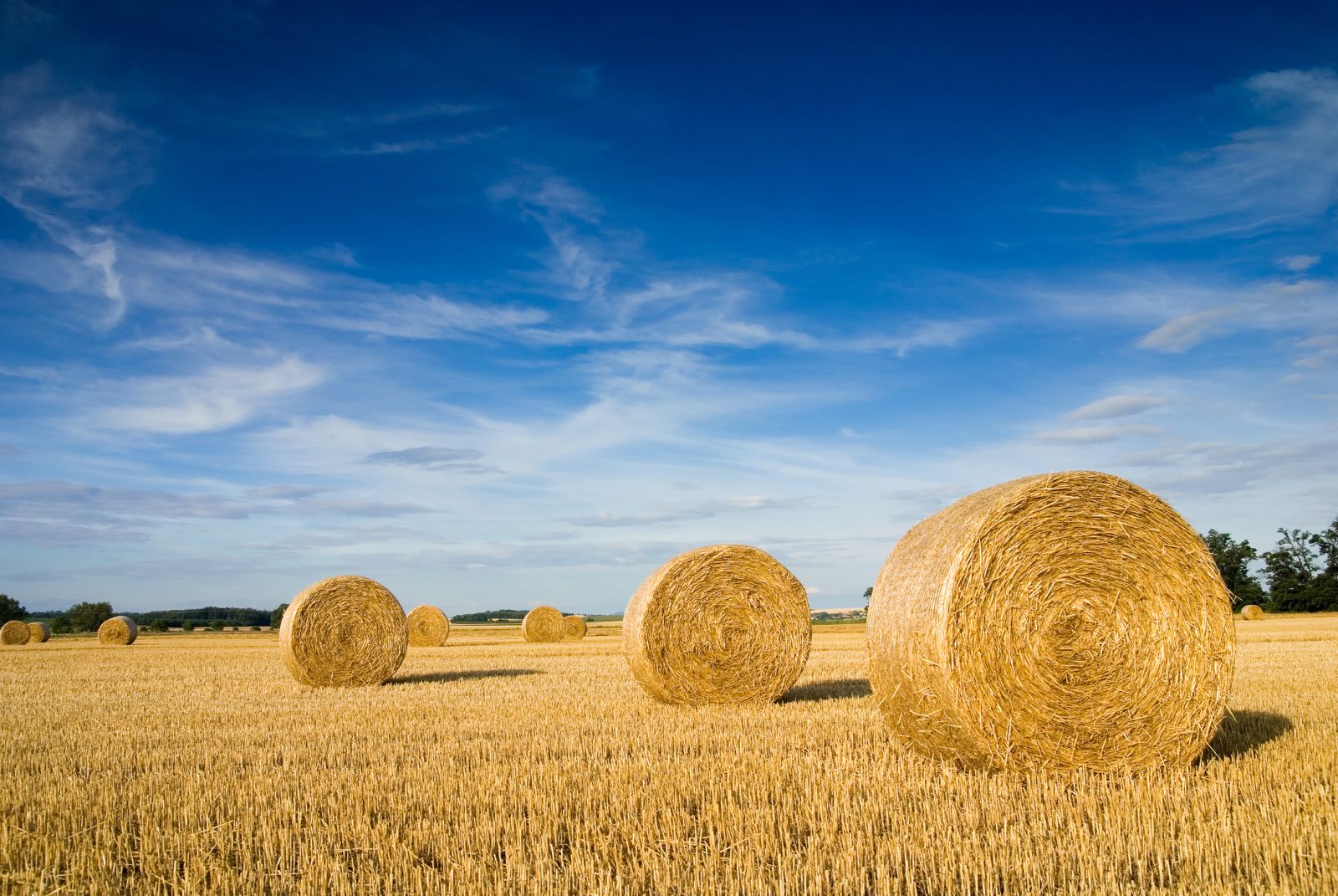 Farming - late summer landscape with straw bales in field by dusipuffi via iStock