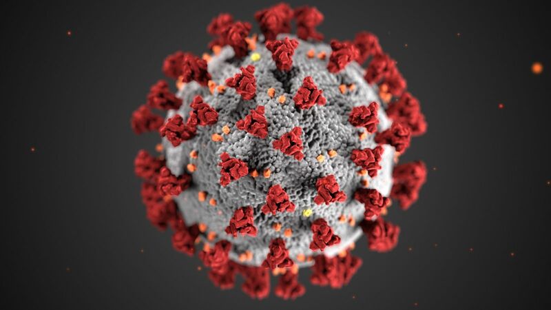 Healthcare - COVID-19 virus