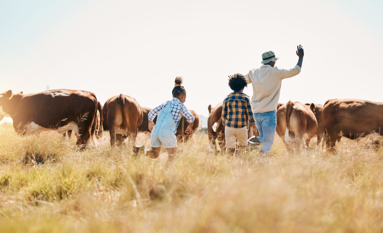 Cattle & Beef - Family rounding up cattle in pasture by Jacob Wackerhausen via iStock