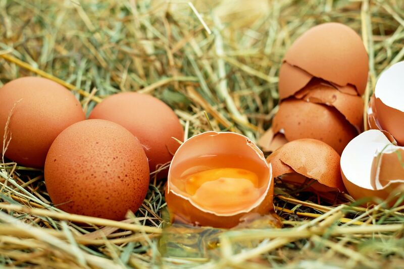 Eggs & Chickens - Brown Eggs in Field