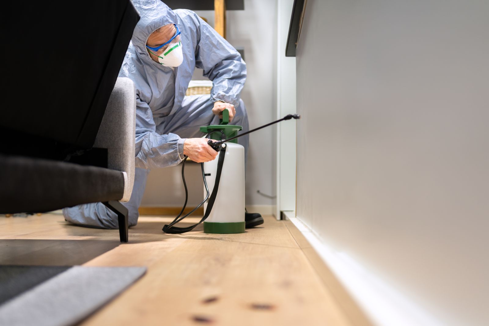 Pest control exterminator spraying termite pesticide by Andrey Popov via Adobe Stock