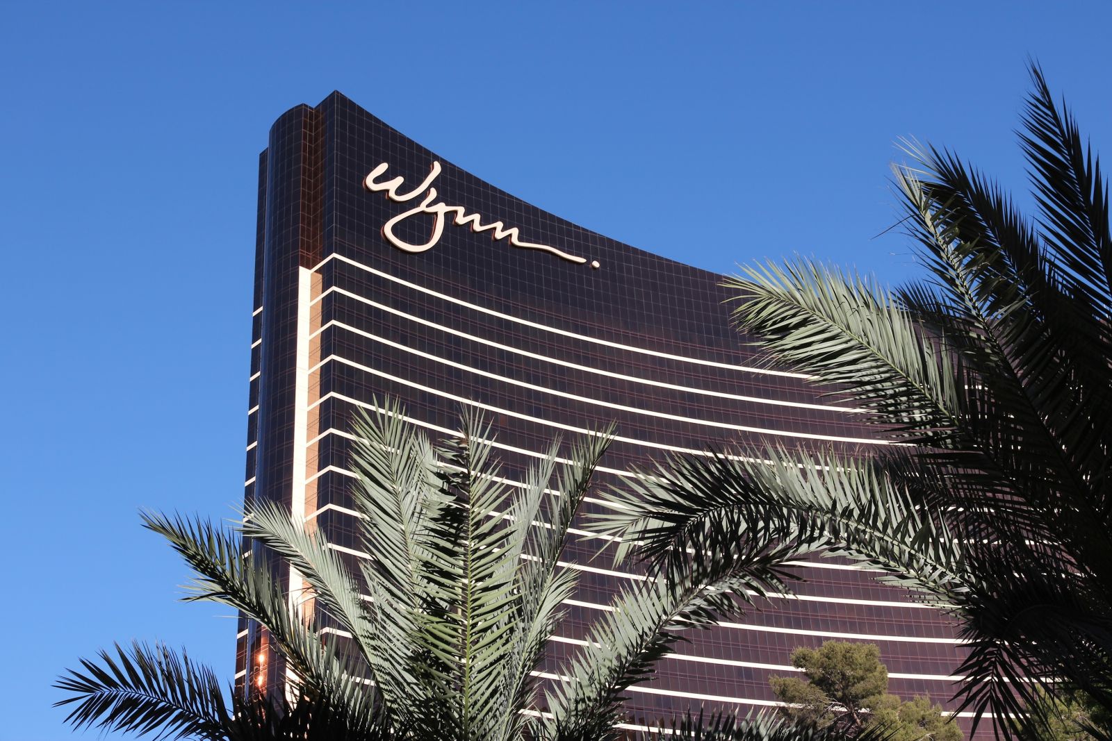 What to Expect From Wynn Resorts' Next Quarterly Earnings Report