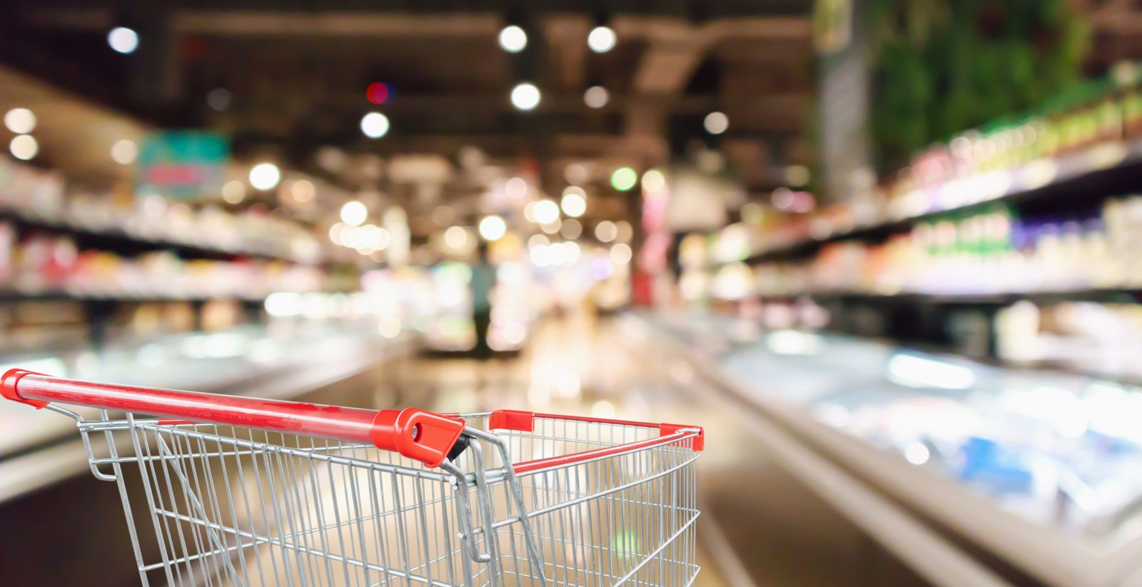 Are Wall Street Analysts Bullish on Dollar Tree Stock?