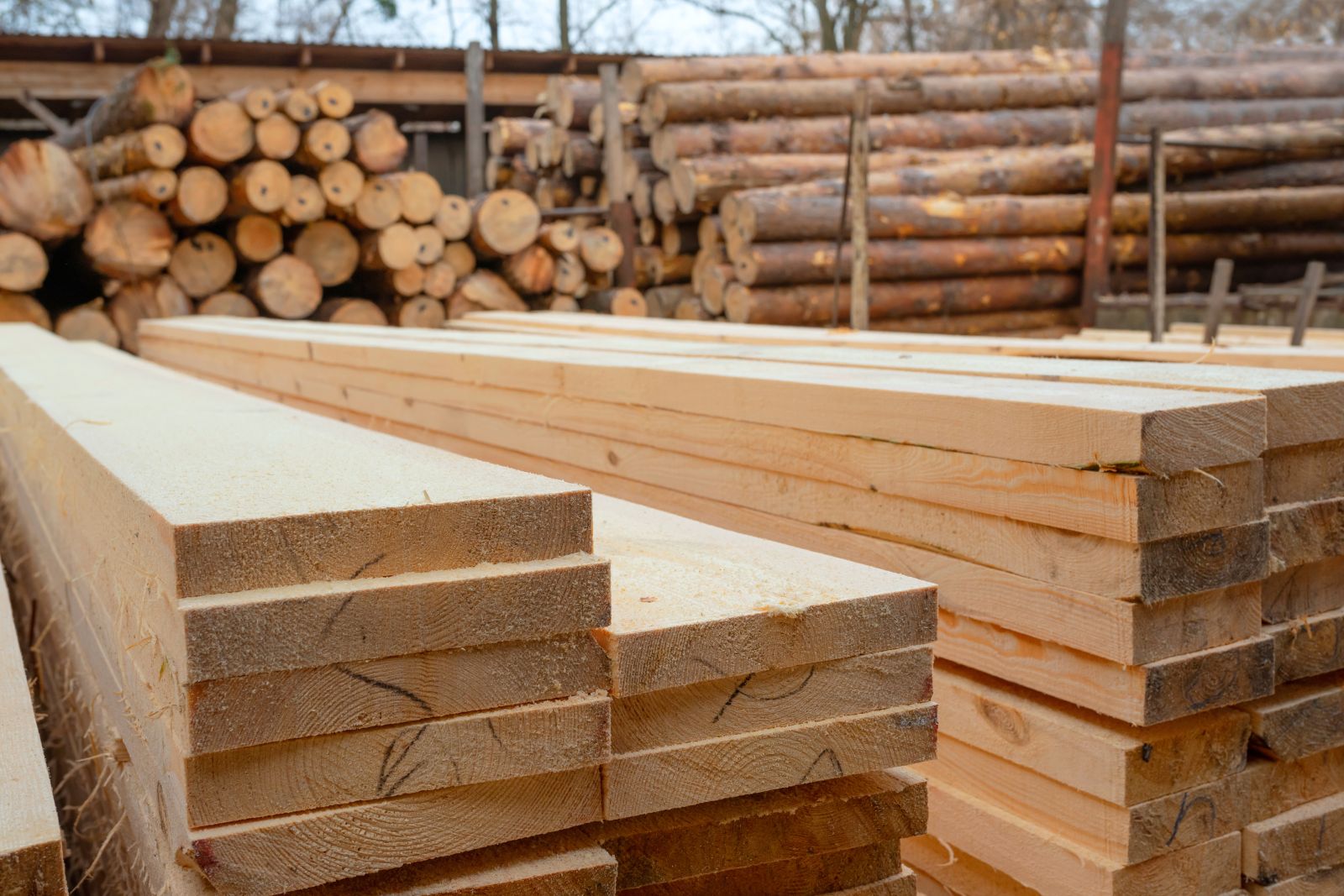 Sawmill timber lumber wood processing by Andrii via Adobe Stock