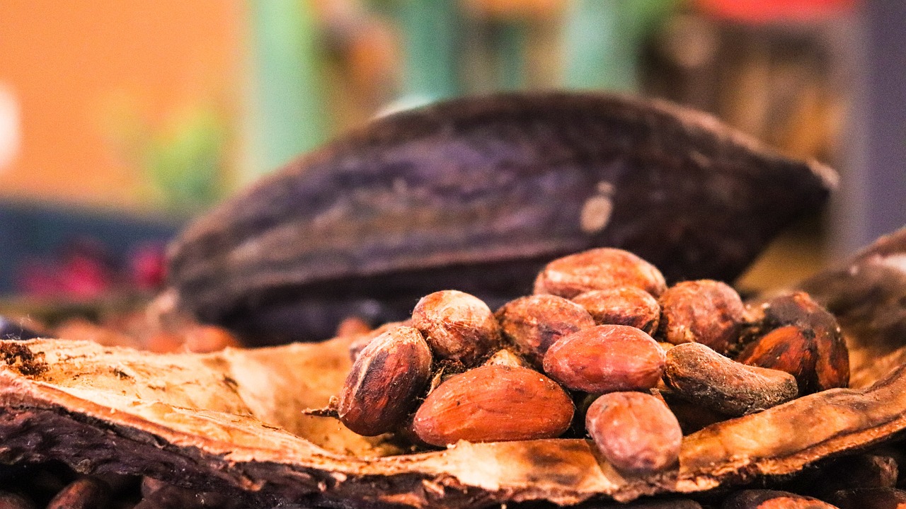Cocoa - Cacao by Allybally4b via Pixabay