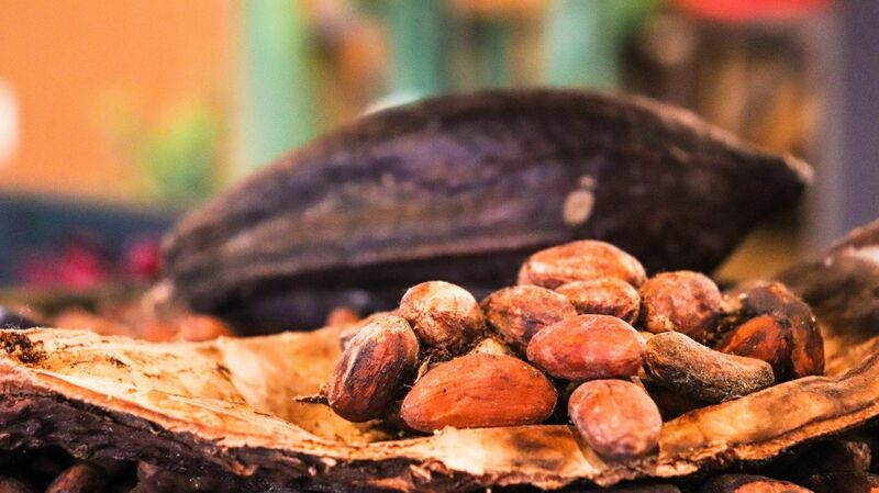 Cocoa - cacao-3995995_1920