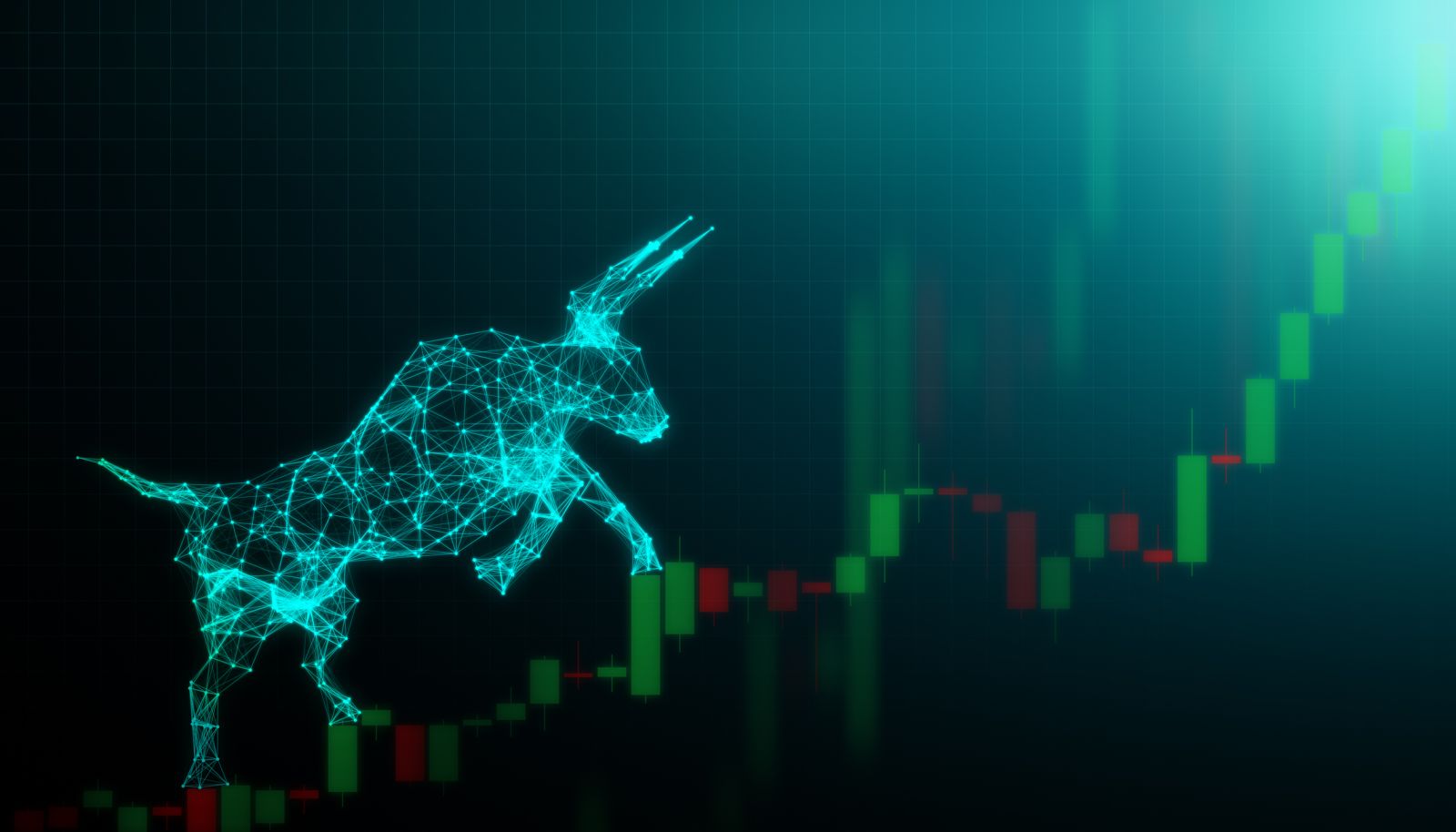 Bull & Bear - Bull market by Phive2015 via iStock