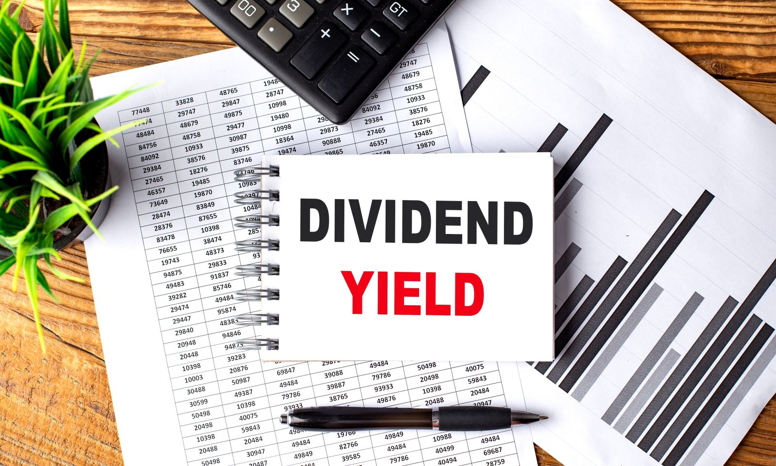 Dividend Yield by Drozd Irina via Shutterstock