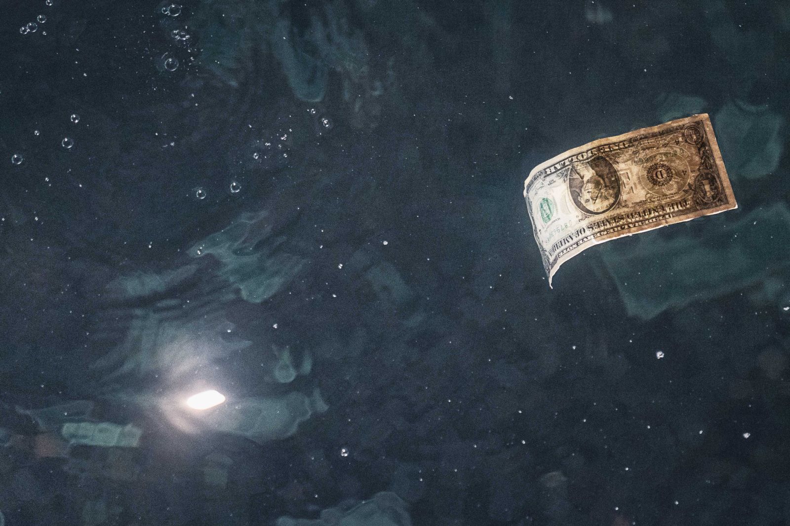 A one dollar bill floating in water by Wirestock via iStock