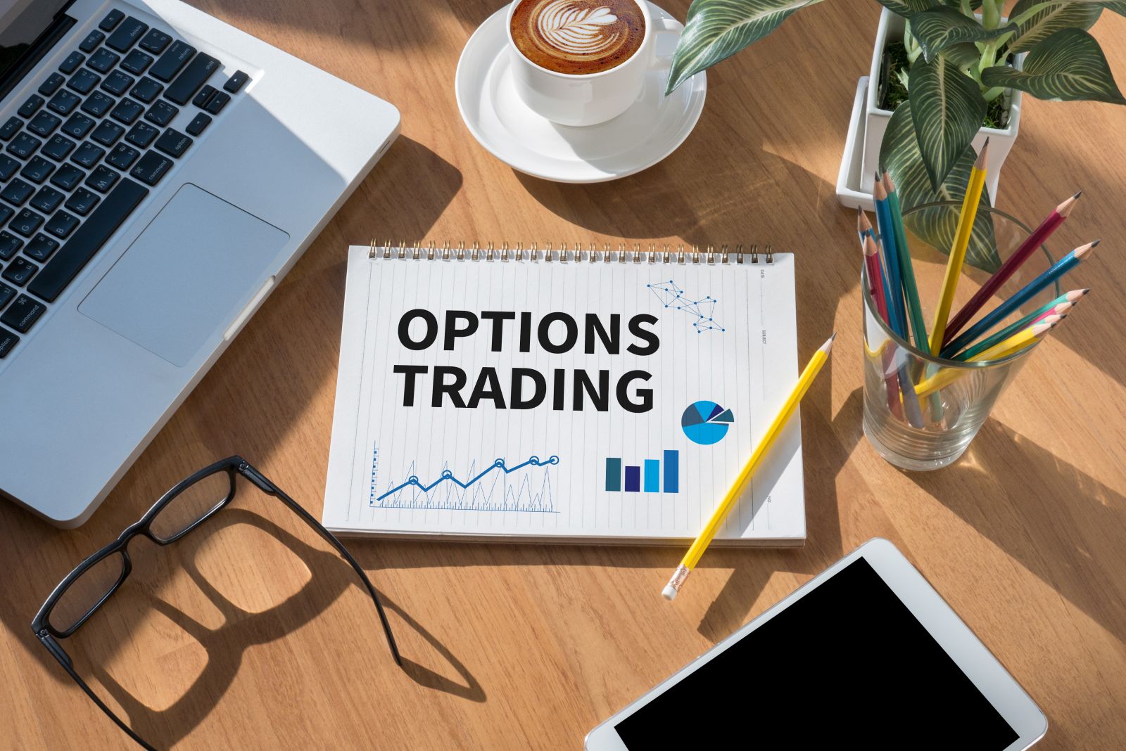 Options - OPTIONS TRADING open book on table by One Photo via Shutterstock