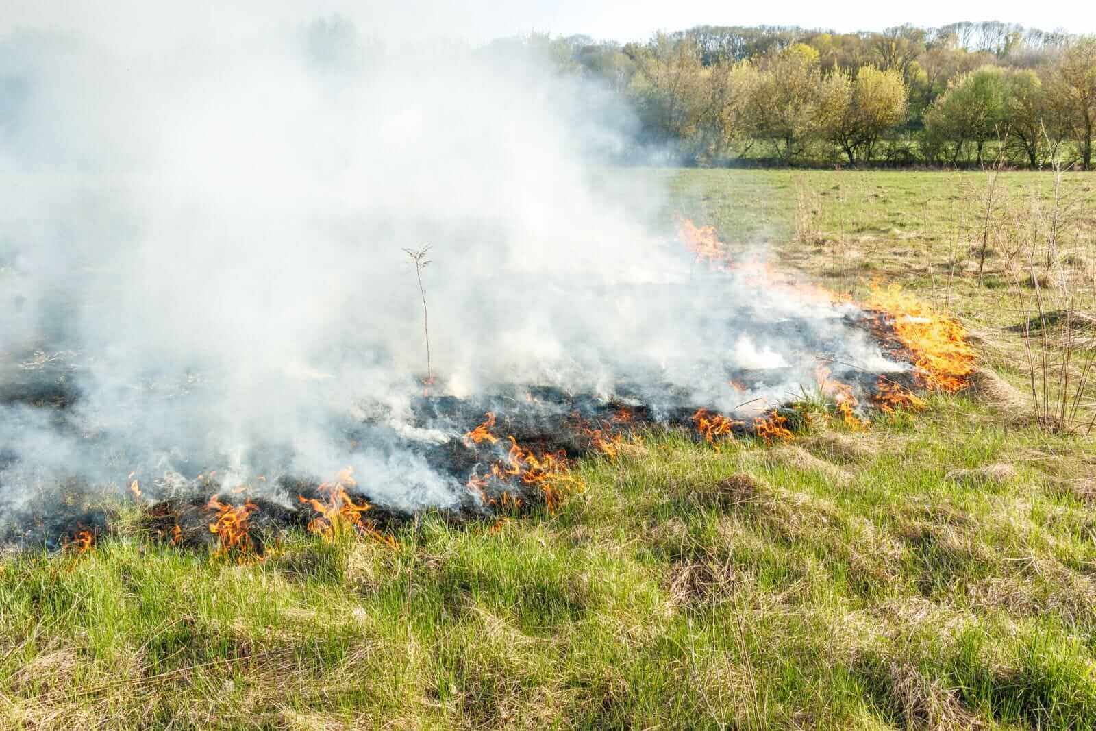 Brush fields on fire by Volodymyr Chmut via iStock