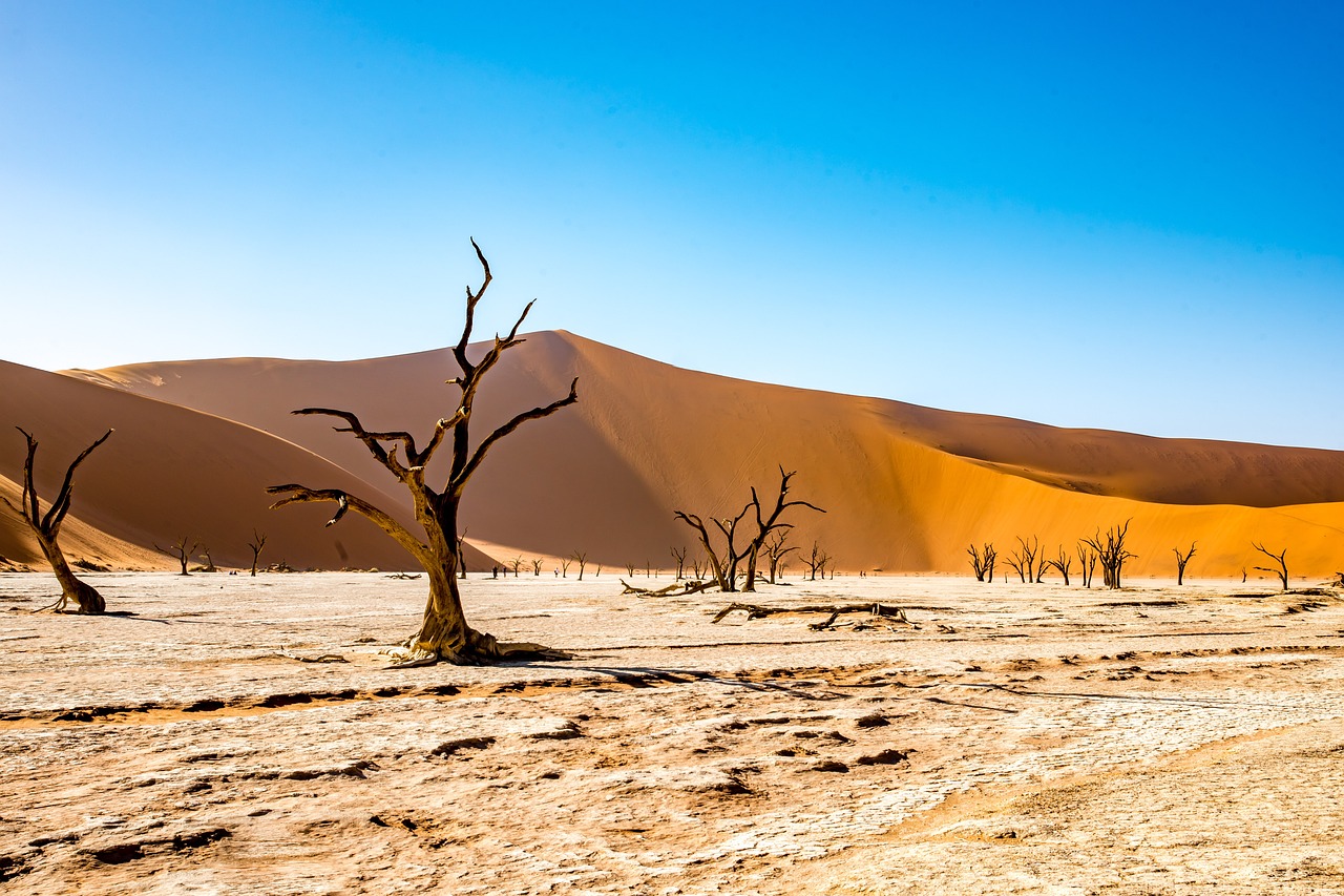 Weather - Desert field drought by TonW via Pixabay