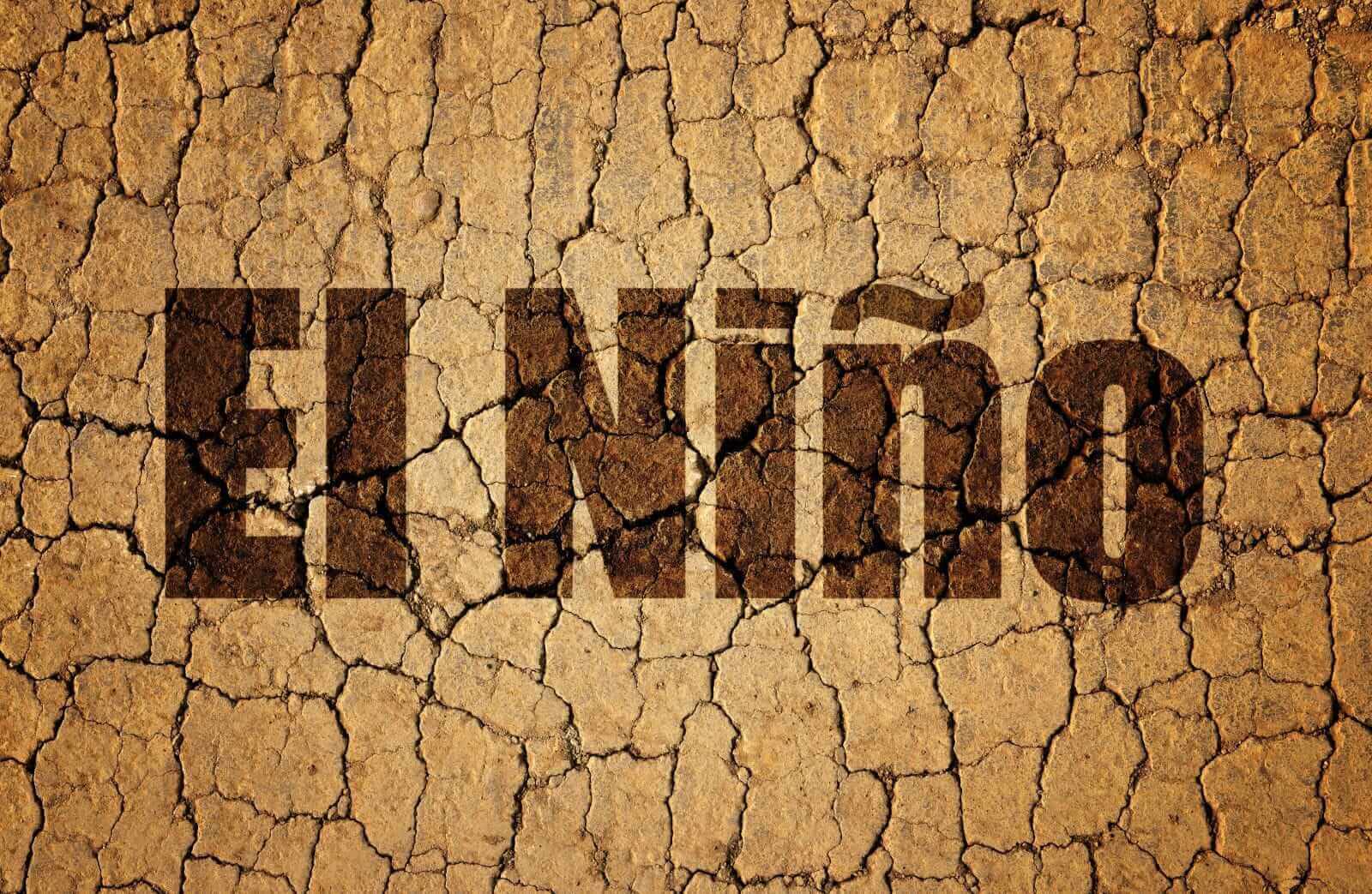Dry cracked soil with El Niño text by Vaclav Volrab via Shutterstock