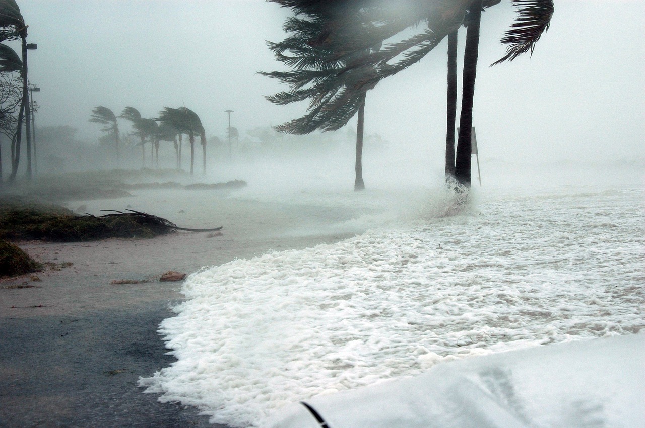 Weather - Extreme winds hurricane in Florida by Free for use via Pixabay